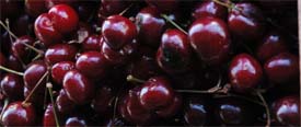 Fresh, sweet cherries at Dan's Produce Market in Alameda, CA.
